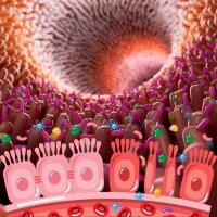Mikrobiom Balance/ Leaky Gut