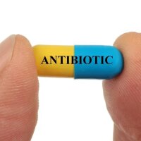 ergänzend bei Antibiotika &amp; Co
