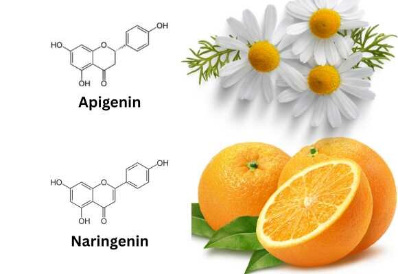 Strukturformeln von Apigenin und Naringenin neben Kamillenblüten und Orangen