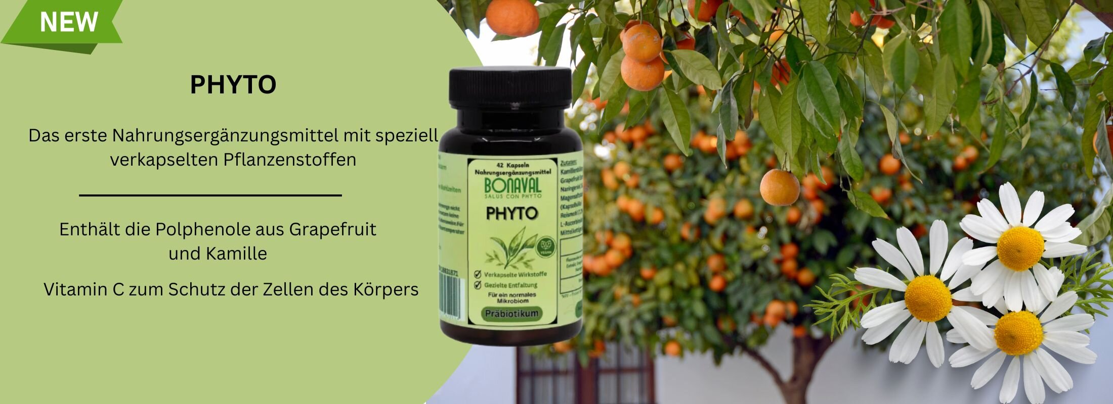 PHYTO – Nahrungsergänzungsmittel mit speziell verkapselten Polyphenolen zur Unterstützung des Darmmikrobioms