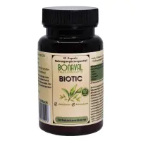 BONAVAL Biotic - 24 Bakterienkulturen mit Inulin und...